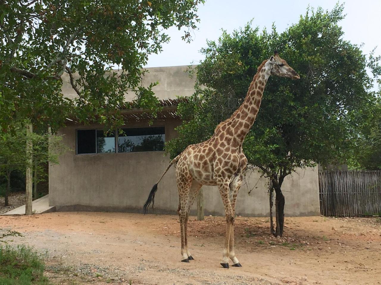 Вилла Nextdoor Kruger Марлот-Парк Экстерьер фото